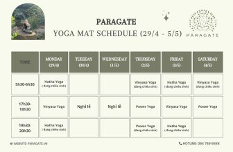 [🆕🇻🇳] Paragate Yoga & Pilates 🧘 Top1Yoga 🤸🏻‍♀️ [𝗨𝗣𝗗𝗔𝗧𝗘] 𝗟𝗜̣𝗖𝗛 𝗧𝗔̣̂𝗣
Khởi động tuần mới thật chăm chỉ và khoẻ mạnh nha cả nhà
Lịch tập sẽ cập nhật thường xuyên để phù hợp với số đông khách hàng.
Chiê , shares-1✔️ , likes-1❤️️ , date-2024-04-28 13:30:07🇻🇳🇻🇳🇻🇳📰🆕