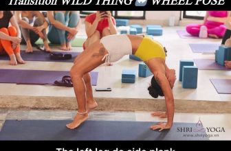 [🆕🇻🇳] Shriyoga – SATCHITANANDA – THỰC TẠI – Ý THỨC – PHÚC LẠC 🧘 Top1Yoga 🧘 Chuyển tiếp từ Tư thế hoang dã / Wild thing pose qua tư thế bánh xe / wheel pose trong khóa huấn luyện 200 giờ tại Shriyoga#Khoá 200 giờ tiếp theo khai g , shares-53✔️ , likes-309❤️️ , date-2024-06-27 01:57:13🇻🇳🇻🇳🇻🇳📰🆕