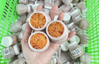 [🆕🇻🇳] BÀ NA FOOD – ĐẶC SẢN CÀ MAU 🍔 Top1Food 🍜 Ưu đãi hấp dẫn khi mua 2kg bất kì:
được MIỄN SHIP
được TẶNG muối ớt chấm trái cây siêu ngon
, shares-0✔️ , likes-5❤️️ , date-2024-05-04 14:53:06🇻🇳🇻🇳🇻🇳📰🆕