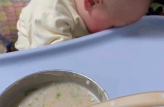 [🆕🇻🇳] Hi, embe –  Cửa hàng quần áo sơ sinh & trẻ em – Say “Hi” & Be a happy child with us :) 🧑‍🧒❤️️👶⭐️ Em đau đớn, em gục ngã
, shares-0✔️ , likes-12❤️️ , date-2024-04-25 01:30:08🇻🇳🇻🇳🇻🇳📰🆕