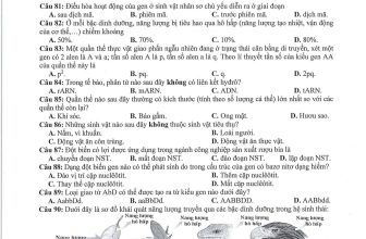 [🆕🇻🇳] Thầy Nguyễn Thanh Quang 📚 Top1Learn 📕 Sau khi qua đèo Gió
Ta lại vượt đèo Giàng
Lại vượt đèo Cao Bắc
Thì ta tới Cao Bằng.
———————————
File PDF thầy để ở phần bình luậ , shares-4✔️ , likes-6❤️️ , date-2024-04-28 18:37:52🇻🇳🇻🇳🇻🇳📰🆕