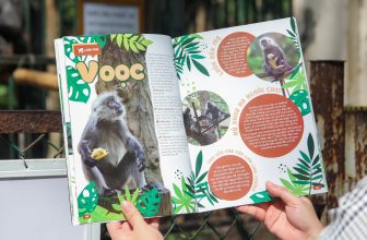 [🆕🇻🇳] Thảo Cầm Viên – Sài gòn Zoo & Botanical Gardens ♥️️ Top1Checkin ☑  Nói có sách, mách có chứng hehe P/ s Sách có bán tại Thảo Cầm Viên Sài Gòn và E-Shop luôn nha, đặc biệt mua tại TCV và E-Shop sẽ được giảm 10% nha
Hình ảnh , shares-8✔️ , likes-11K❤️️ , date-2024-05-14 19:01:57🇻🇳🇻🇳🇻🇳📰🆕