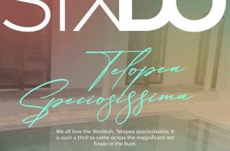 [🆕🇻🇳] SIXDO is a fashion brand founded by fashion designer DOMANHCUONG 👕 Top1Fashion 👗  𝐒𝐒’𝟐𝟒 | 𝐓𝐄𝐋𝐎𝐏𝐄𝐀 𝐒𝐏𝐄𝐂𝐈𝐎𝐒𝐈𝐒𝐒𝐈𝐌𝐀Nếu có dịp du lịch tới thành phố Sydney nhất định nàng đừng quên chiêm ngưỡng những bụi hoa Waratah – loài hoa biểu tượng củ , shares-145✔️ , likes-11K❤️️ , date-2024-04-28 21:51:00🇻🇳🇻🇳🇻🇳📰🆕