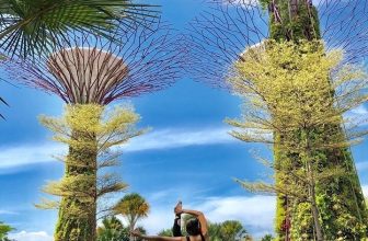 [🆕🇻🇳] Luna Thái Học Viện Yoga Quốc Tế 🧘 Top1Yoga 🤸🏻‍♀️  Khóa học Đào_Tạo Giáo viên YOGA  Học tới khi thành Nghề  Hỗ trợ công_việc_sau_khóa_học  Nhận bằng Quốc Tế được công_nhận trên toàn thế giớiTrở thành HL , shares-0✔️ , likes-3❤️️ , date-2024-05-19 01:15:08🇻🇳🇻🇳🇻🇳📰🆕