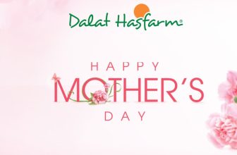 [🆕🇻🇳] Glam Beautique – Chuỗi cửa hàng Chăm sóc sức khỏe và sắc đẹp thuộc AEON Việt Nam 💅💇 Top1Makeup 💕👄  𝐁𝐒𝐓 𝐡𝐨𝐚 𝐭𝐮̛𝐨̛𝐢 𝐨𝐧𝐥𝐢𝐧𝐞 𝐌𝐨𝐭𝐡𝐞𝐫’𝐬 𝐃𝐚𝐲 𝟏𝟐/𝟓 – 𝐕𝐢̀ 𝐂𝐨𝐧 𝐘𝐞̂𝐮 𝐌𝐞̣ ​Mẹ – Người phụ nữ đặc biệt và duy nhất luôn có một vị trí quan trọng trong tim mỗi người. Dù , shares-0✔️ , likes-42❤️️ , date-2024-05-09 16:00:14🇻🇳🇻🇳🇻🇳📰🆕