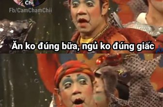 [🆕🇻🇳] 🏆 BOM Sister – Chuỗi cửa hàng 🏆 – Cửa hàng nội y đồng giá 👕 Top1Fashion 👗  Nào không trêu bạn =))
Nguồn: Sưu tầm
#GT #BOMSister
, shares-18✔️ , likes-635❤️️ , date-2024-05-19 19:02:07🇻🇳🇻🇳🇻🇳📰🆕