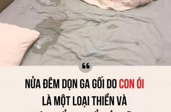 [🆕🇻🇳] Shop Mẹ Nấm – Chuyên hàng Trẻ em Thiết kế và nhập khẩu 🧑‍🧒❤️️👶⭐️ Nhà có con nhỏ mới hiểu :(((
————–
#Mebimtrailong #chamsoctresosinh #tamsumebim #noikhomesausinh #nuoicon #landaulamme
, shares-2✔️ , likes-14❤️️ , date-2024-05-30 15:27:12🇻🇳🇻🇳🇻🇳📰🆕