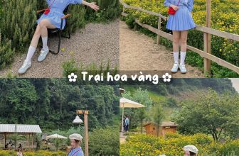 [🆕🇻🇳] Check in Vietnam – Cùng nhau trải nghiệm và và khám phá Việt Nam ♥️️ Top1Checkin ☑   LỊCH TRÌNH MỘC CHÂU 2 NGÀY 1 ĐÊM CÙNG EM BÉ NHÀ MÌNH
~ Gia đình nào có em bé tham khảo lịch trình đi chơi cuối tuần nèPhương tiện:
Chúng mình di chuy , shares-16✔️ , likes-1.413❤️️ , date-2024-05-28 03:24:49🇻🇳🇻🇳🇻🇳📰🆕