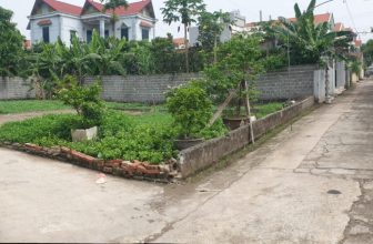 [🆕🇻🇳] Hiền Vinh Hvkids  (Xưởng may HV Kids) 😎❤️️⭐️ 59m x 4 Lô góc Xâm Động. Đg thông ngõ 3m ô tô tránh xe máy. Cách 200m ra tđc xâm động. VLh 0915626512
, shares-0✔️ , likes-1❤️️ , date-2024-06-03 23:39:01🇻🇳🇻🇳🇻🇳📰🆕