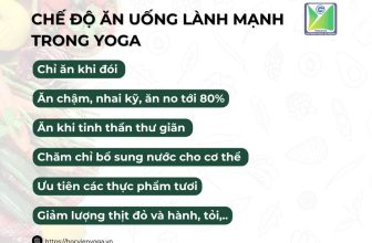 [🆕🇻🇳] Học viện Yoga Việt Nam – Nơi nghiên cứu & đào tạo Giáo viên Yoga Việt Nam 🧘 Top1Yoga 🤸🏻‍♀️  LÀ MỘT YOGI THÔNG THÁI
Hãy lựa chọn những thực đơn phù hợp hỗ trợ quá trình tập luyện hiệu quả và tinh thần hăng hái hơn. Dưới đây là một số gợi ý từ Học  , shares-1✔️ , likes-3❤️️ , date-2024-06-23 15:00:25🇻🇳🇻🇳🇻🇳📰🆕