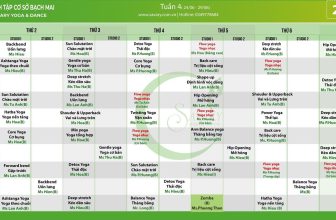 [🆕🇻🇳] Savary Yoga – CÔNG TY CỔ PHẦN ĐẦU TƯ PHÁT TRIỂN SAVARY 🧘 Top1Yoga 🤸🏻‍♀️ Savary xin được gửi tới quý hội viên lịch tập tuần mới.
Kính chúc quý hội viên có một tuần luyện tập hiệu quả!
, shares-0✔️ , likes-11❤️️ , date-2024-06-22 18:20:00🇻🇳🇻🇳🇻🇳📰🆕