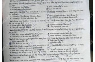 [🆕🇻🇳] Mclass – Lớp Học Livestream 📚 Top1Learn 📕 Cập nhật: Đề thi Tốt nghiệp THPT 2024 – Tổ hợp KHXH
Lịch sử mã đề 309
Địa lí mã đề 303
Giáo dục công dân mã đề 302
, shares-3✔️ , likes-85❤️️ , date-2024-06-27 20:38:17🇻🇳🇻🇳🇻🇳📰🆕