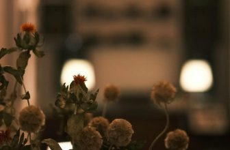 [☕️🇻🇳] 15.22 café – wine – live music ☕️ Top1Coffee ☕️ Em đi rồi mùa hạ còn vui
, shares-0✔️ , likes-2❤️️ , date-2024-07-01 22:36:49🇻🇳🇻🇳🇻🇳📰🆕