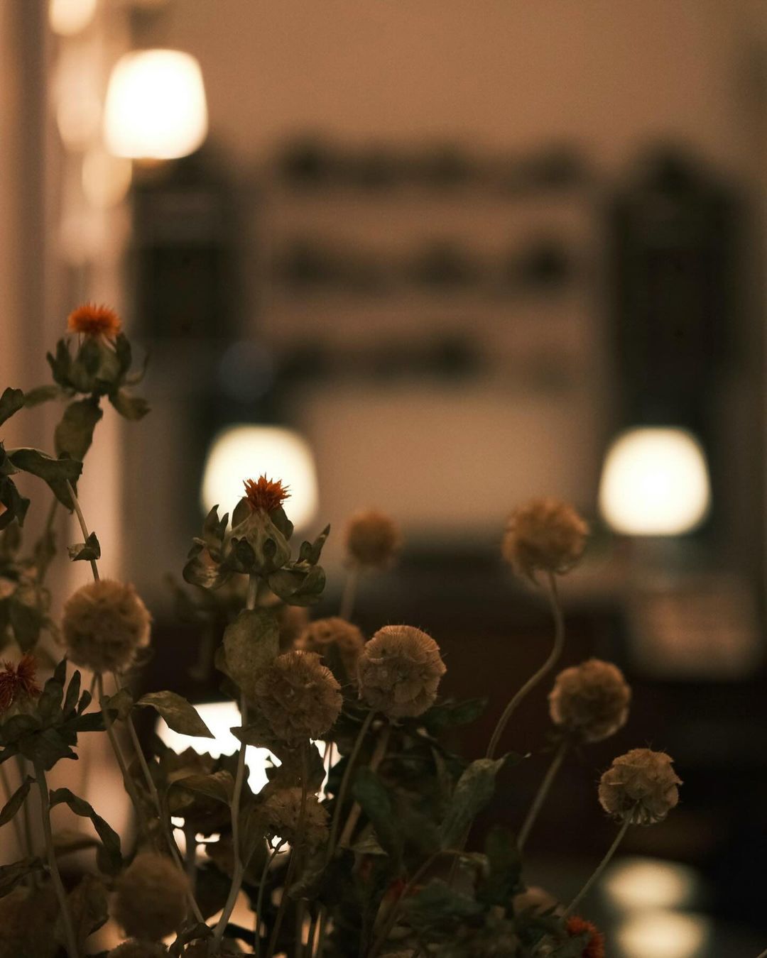 [☕️🇻🇳] 15.22 café – wine – live music ☕️ Top1Coffee ☕️ Em đi rồi mùa hạ còn vui
, shares-0✔️ , likes-2❤️️ , date-2024-07-01 22:36:49🇻🇳🇻🇳🇻🇳📰🆕