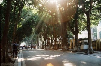 [☕️🇻🇳] Tungbook Coffee Hà Nội 🥤 Top1Coffee ☕️ Nếu trời ko buông nắng
Liệu hoa có còn tươi
Tách cà phê chiều muộn
Xin cho đời thảnh thơi …..
————————
#Thuhanoi
#tungb , shares-0✔️ , likes-28❤️️ , date-2018-10-31 21:18:58🇻🇳🇻🇳🇻🇳📰🆕
