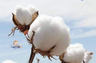 [🆕🇻🇳]  Suzanna Nguyen  (Suzanna Nguyen) – Best choice for your baby! 🧑‍🧒❤️️👶⭐️ Mẫu bodysuit #BABY&CO LITTLE DRAGONS 2024
Mẫu bodysuits cotton mềm hình rồng cho bé siêu đáng yêu
VẢI COTTON PREMIUM USA SIÊU MỀM
Chất liệu vải cực kỳ m , shares-0✔️ , likes-0❤️️ , date-2024-07-21 00:00:11🇻🇳🇻🇳🇻🇳📰🆕