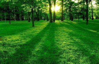 [🆕🇻🇳] Hương Vị An Giang – Đặc Sản An Giang 🍔 Top1Food 🍜  , shares-0✔️ , likes-1❤️️ , date-2024-08-01 06:43:42🇻🇳🇻🇳🇻🇳📰🆕