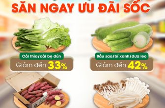 [🆕🇻🇳] Bách Hóa Xanh là chuỗi siêu thị mini chuyên bán thực phẩm tươi sống và nhu yếu phẩm của tập đoàn TGDĐ ♥️️ Top1Index 📚   Tháng Vu Lan – Săn ngay ưu đãi sốc
Cải thìa/cải bẹ dún giảm đến 33%
Bầu sao/bí xanh/dưa leo giảm đến 42%
Combo 2 gói Nấm hải sản TQ/ Nấm linh chi nâu,  , shares-1✔️ , likes-21❤️️ , date-2024-08-08 23:00:26🇻🇳🇻🇳🇻🇳📰🆕