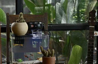 [☕️🇻🇳] 𝐋𝐚 𝐑𝐞̂𝐯𝐞𝐮𝐬𝐞🥤 Top1Coffee ☕️ hy vọng lần tới,
ta sẽ kể nhau nghe
về những hạnh phúc đang quẩn quanh trong lòng
, shares-13✔️ , likes-201❤️️ , date-2024-08-07 18:13:45🇻🇳🇻🇳🇻🇳📰🆕