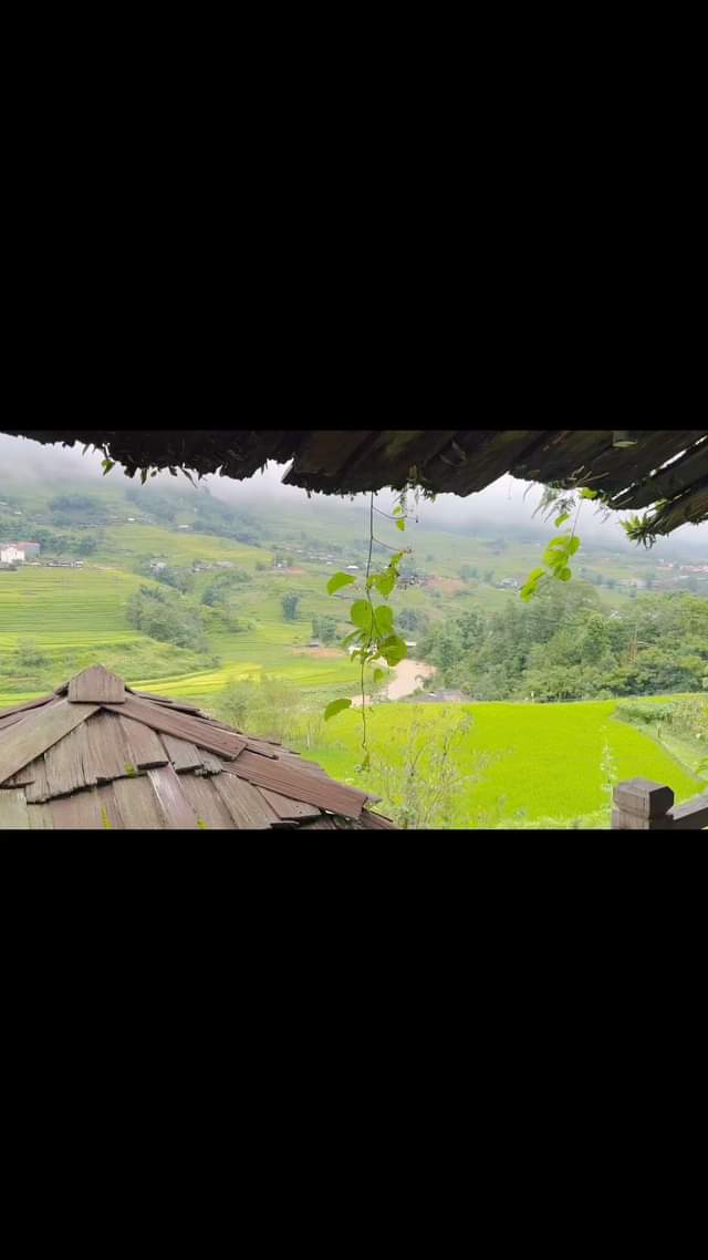 [☕️🇻🇳] La Dao Spa – Coffee House, homestay 🥤 Top1Coffee ☕️ Bật nhạc chờ khách đến dùng bữa 
 , shares-0✔️ , likes-0❤️️ , date-2024-08-12 17:25:11🇻🇳🇻🇳🇻🇳📰🆕