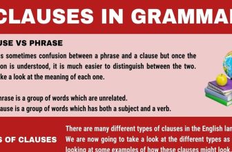 [🆕🇻🇳] English Kids 📚 Top1Learn 📕 Clause: Definition, Useful Examples, and Types of Clauses , shares-0✔️ , likes-0❤️️ , date-2024-04-01 05:01:34🇻🇳🇻🇳🇻🇳📰🆕