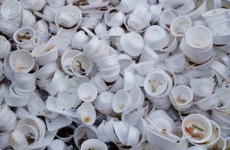 [☕️🇻🇳] Up Vietnam Cafe 🥤 Top1Coffee ☕️ [Hỗ trợ truyền thông]
COSTA RICA ĐÃ BAN LUẬT CẤM NHỰA XỐP –  MỘT CHIẾN THẮNG LỚN CHO MÔI TRƯỜNG
Costa Rica đã đưa ra nhiều chín , shares-1✔️ , likes-24❤️️ , date-2019-07-29 13:47:29🇻🇳🇻🇳🇻🇳📰🆕