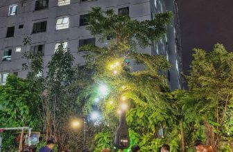 [☕️🇻🇳]1986 Tea-Coffee 🥤 Top1Coffee ☕️ Lâu lâu có mấy ngày trời dông gió báo mưa, động tới mấy cái ổ gián dưới đất làm nó bay lên thật tuyệt diệu tuyệt mỹ. Mấy đêm vậy , shares-2✔️ , likes-45❤️️ , date-2019-11-08 02:35:39🇻🇳🇻🇳🇻🇳📰🆕