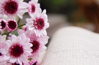 [☕️🇻🇳] Garden Coffee – Tea Thanh Sơn 🥤 Top1Coffee ☕️ Các bạn có ảnh đẹp đăng tết chưa?
Nếu chưa thì hãy đến vs Garden để…..
Tìm bạn đồng hành
Để dành ảnh đẹp
, shares-0✔️ , likes-58❤️️ , date-2020-01-10 15:16:08🇻🇳🇻🇳🇻🇳📰🆕