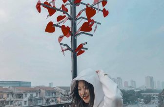 [☕️🇻🇳] Heaven H Coffee 🥤 Top1Coffee ☕️ Xin những bối rối này cứ thế lên ngôi
Cho con tim rẽ lối tìm giây phút nghẹn lời ——————————————— , shares-0✔️ , likes-21❤️️ , date-2020-01-22 13:17:26🇻🇳🇻🇳🇻🇳📰🆕