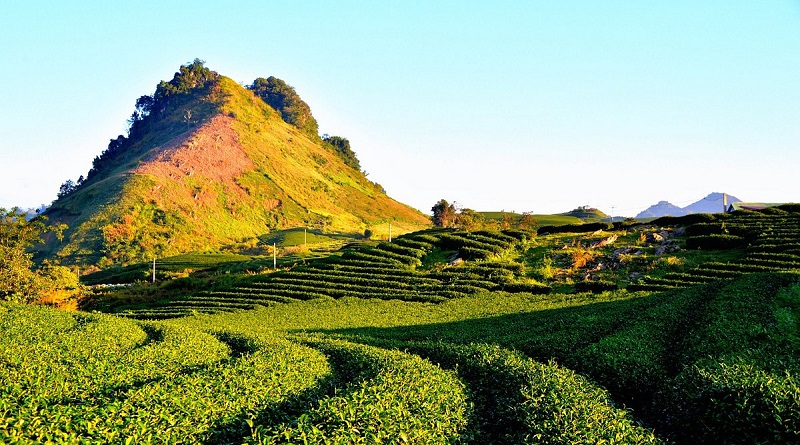 Tháng 9 nên đi du lịch ở đâu miền Bắc? Mộc Châu