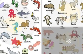 [🆕🇻🇳] English Kids 📚 Top1Learn 📕 Learn 1000+ Animal Names in English – ESLBUZZ , shares-0✔️ , likes-1❤️️ , date-2024-08-31 03:00:16🇻🇳🇻🇳🇻🇳📰🆕