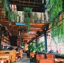 Không có mô tả ảnh.