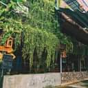 Không có mô tả ảnh.