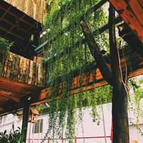 [☕️🇻🇳] 15.22 café – wine – live music 🥤 Top1Coffee ☕️ 𝐂𝐨́ 𝐚𝐢 𝐭𝐡𝐢́𝐜𝐡 𝐪𝐮𝐚́𝐧 𝐜𝐨𝐟𝐟𝐞𝐞 𝐦𝐨̣̂𝐜 𝐦𝐚̣𝐜 𝐧𝐡𝐮̛ 𝐭𝐡𝐞̂́ 𝐧𝐚̀𝐲 𝐤𝐡𝐨̂𝐧𝐠 ? 𝐖𝐎𝐎𝐃 𝐂𝐎𝐅𝐅𝐄𝐄
 𝐓𝐇𝐔𝐘̉ 𝐗𝐔̛𝐎̛̉𝐍𝐆 ( 𝐒𝐚𝐮 𝐥𝐮̛𝐧𝐠 𝐬𝐢𝐞̂𝐮 𝐭𝐡𝐢̣ 𝐋𝐎𝐓𝐓𝐄 )
  𝟔𝐡𝟑𝟎 , shares-0✔️ , likes-0❤️️ , date-🇻🇳🇻🇳🇻🇳📰🆕