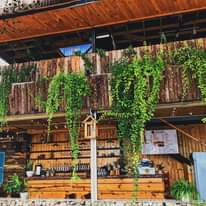 Không có mô tả ảnh.