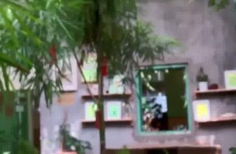 [☕️🇻🇳] 15.22 café – wine – live music 🥤 Top1Coffee ☕️ 𝗜́𝘁 𝗻𝗵𝗮̂́𝘁, 𝗵𝗮̃𝘆 𝗱𝗮̀𝗻𝗵 𝗰𝗵𝗼 𝗺𝗶̀𝗻𝗵 𝗺𝗼̣̂𝘁 𝗸𝗵𝗼𝗮̉𝗻 𝘁𝗶̃𝗻𝗵 𝗹𝗮̣̆𝗻𝗴 𝘁𝗿𝗼𝗻𝗴 𝘁𝗮̂𝗺.
𝑇𝑜̂́𝑡 𝑛ℎ𝑎̂́𝑡, ℎ𝑎̃𝑦 đ𝑢̛𝑎 𝑛𝑔𝑎𝑦 𝑛𝑜́ 𝑣𝑎̀𝑜 𝑡ℎ𝑜̛̀𝑖 𝑘ℎ𝑜𝑎́ 𝑏𝑖𝑒̂ , shares-0✔️ , likes-35❤️️ , date-2021-01-27 18:55:39🇻🇳🇻🇳🇻🇳📰🆕