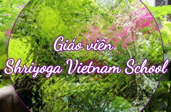 [🆕🇻🇳] Shriyoga – SATCHITANANDA – THỰC TẠI – Ý THỨC – PHÚC LẠC 🧘 Top1Yoga 🧘 Không chỉ các học viên lớp 3-5 ở Shri hẳn sẽ rất quen thuộc giọng nói và gương mặt đáng yêu của cô Thư Nguyễn, học viên các lớp khác cũng rất mến cô Thư vì , shares-1✔️ , likes-48❤️️ , date-2024-08-28 19:16:59🇻🇳🇻🇳🇻🇳📰🆕