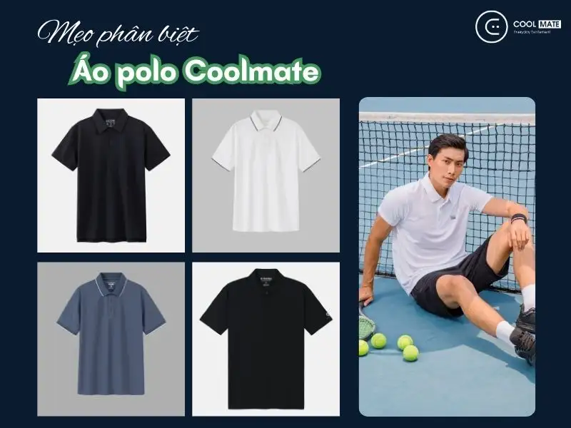 Phân biệt các dòng áo Polo Coolmate bán chạy nhất  [🆕🇻🇳] coolmate.me