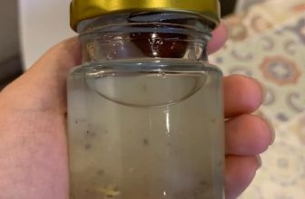 [🆕🇻🇳]  KIDS – THỜI TRANG CỦA BÉ 🧑‍🧒❤️️👶⭐️ Duyên vcc luôn các bác ạ
Em mới chia sẻ Yến nhà bạn em nuôi mà tối giờ cả nhà nó nhặt Yến mỏi tay luôn
Có khi cổ phần nuôi Yến luôn nhỉ
Yến Chưng: 5 , shares-0✔️ , likes-1❤️️ , date-2022-02-19 23:03:08🇻🇳🇻🇳🇻🇳📰🆕