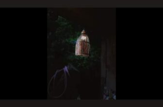 [☕️🇻🇳] 22 phẩy 5 coffee 🥤 Top1Coffee ☕️ Đêm nhạc tháng 9 số đặc biệt, Mùa Mưa Ngâu Nằm Cạnh
, shares-0✔️ , likes-0❤️️ , date-2022-09-23 03:02:31🇻🇳🇻🇳🇻🇳📰🆕