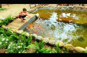 [☕️🇻🇳] Gia Cát Coffee – Cung cấp cây cảnh, nhận sét up cây cảnh cho quán cafe 🥤 Top1Coffee ☕️  , shares-0✔️ , likes-7❤️️ , date-2023-03-25 23:58:07🇻🇳🇻🇳🇻🇳📰🆕