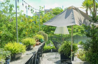 [☕️🇻🇳] ForDeer – Coffee with tree 🥤 Top1Coffee ☕️ Một ngày nắng đẹp trời ở Rừng Văn Quán…Thời tiết chuyển sang thu rồi, tiết trời dễ chịu hơn hẳn. Nắng mùa mới dịu mát thật c , shares-1✔️ , likes-38❤️️ , date-2023-08-24 16:34:05🇻🇳🇻🇳🇻🇳📰🆕