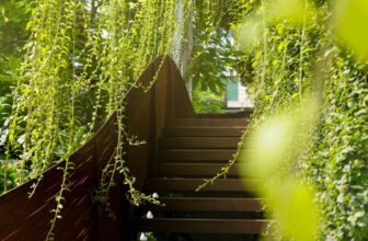 [☕️🇻🇳] ForDeer – Coffee with tree 🥤 Top1Coffee ☕️ “Trăm triệu hạt mưa rơi, không hạt nào rơi nhầm chỗ.
Những người ta từng gặp, không một người ngẫu nhiên.”Nghe nói rằng mai Th , shares-3✔️ , likes-41❤️️ , date-2023-08-21 03:03:12🇻🇳🇻🇳🇻🇳📰🆕