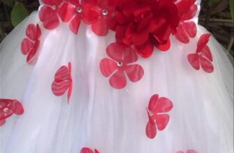 [🆕🇻🇳] Đầm Công Chúa – Đầm công chúa cho bé yêu 🧑‍🧒❤️️👶⭐️  , shares-0✔️ , likes-9❤️️ , date-2023-11-25 11:51:52🇻🇳🇻🇳🇻🇳📰🆕