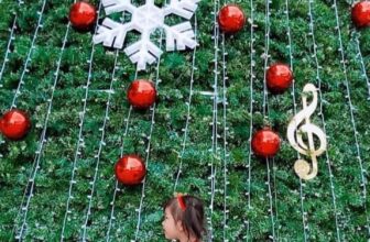 [🆕🇻🇳] Đầm Công Chúa – Đầm công chúa cho bé yêu 🧑‍🧒❤️️👶⭐️  , shares-0✔️ , likes-14❤️️ , date-2023-11-23 19:55:50🇻🇳🇻🇳🇻🇳📰🆕