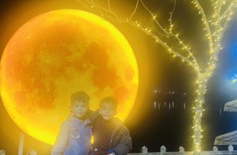 [🆕🇻🇳]  Hiếu Thảo Shop – Chuyên Bỉm – Việt Nam Cho Bé 🧑‍🧒❤️️👶⭐️ Bước  Sang Năm  Mới  Mong Mọi điều  Tốt  Đẹp  Với  gia đình Em
, shares-0✔️ , likes-4❤️️ , date-2024-02-01 01:28:49🇻🇳🇻🇳🇻🇳📰🆕