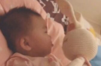 [🧸️🇻🇳]Alex House – Cửa hàng quà tặng – Người bạn tuổi thơ dễ thương cho bé yêu từ 0-3 tuổi 🎈Top1Toys🧸️  Bé ôm Thỏ lala móc len nhà Alex
Handmade từ sợi cotton Organic an toàn cho bé sơ sinh ôm ngủ.
Chiều cao 48cm, bụng to, bé ôm gác chân rất phù hợp. Nhà A , shares-0✔️ , likes-10❤️️ , date-2024-04-28 03:52:07🇻🇳🇻🇳🇻🇳📰🆕