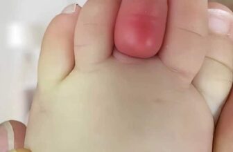 [🆕🇻🇳] SHOP THỎ TÂY BABY – CHUYÊN CUNG CẤP SỈ & LẺ QUẦN ÁO SƠ SINH 🧑‍🧒❤️️👶⭐️ Lý do bên em luôn may tay chân nón ngược nhé .Các mom llưuý nha
, shares-0✔️ , likes-0❤️️ , date-2024-05-12 19:20:58🇻🇳🇻🇳🇻🇳📰🆕