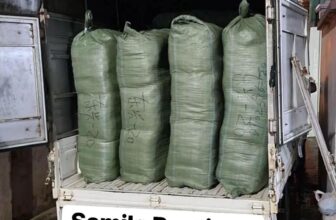 [🆕🇻🇳] Samila Boutique- Cho thuê váy công chúa cho bé 🧑‍🧒❤️️👶⭐️ Ăn xong bữa tối bốc chuyến này tiêu cơm tối luôn!Samila Boutique- Bán và Cho thuê váy công chúa bé gái, vest bé trai—————————
CAM KẾ , shares-0✔️ , likes-0❤️️ , date-2024-07-10 00:19:07🇻🇳🇻🇳🇻🇳📰🆕