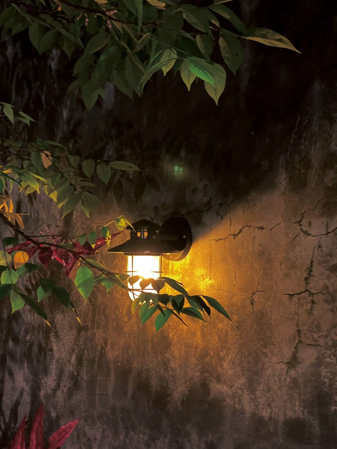 [☕️🇻🇳] Hello Coffee – Quán cà phê Internet Thành Phố Huế 🥤 Top1Coffee ☕️ “Mùa hè năm ấy là mùa hè đẹp nhất,  nhưng cũng là mùa hè chơi vơi nhất,  nơi mà những kỷ niệm ở lại,  còn những tiếc nuối thì th , shares-1✔️ , likes-16❤️️ , date-2024-07-16 00:03:25🇻🇳🇻🇳🇻🇳📰🆕